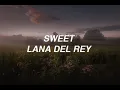 Download Lagu Sweet - Lana Del Rey (lyrics)