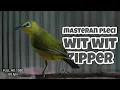 Download Lagu MASTERAN PLECI WIT WIT ZIPPER - TERBARU !!!