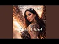 Lagu LIKE A BIRD