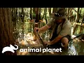 Deadly Gator at the Job Site Gator Boys Animal Planet