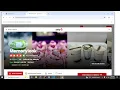 Yelp Scraper Demo - Collect Any Business Leads with Python Playwright