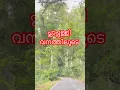 Lagu പ്ലാപ്പള്ളി വനത്തിലൂടെ ഒരു യാത്ര 🌿🪴 #youtube #medicinalplants #kaadum_padalum #seethathodu
