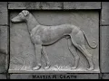 Master McGrath - the Greyhound Champ 1866