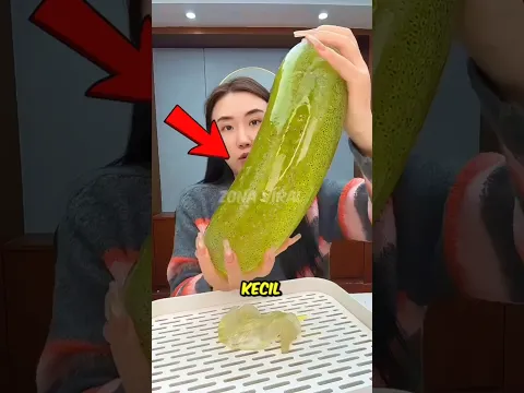Kenapa Rumah Tangga Jepang Selalu Punya 2 Benda Ini? 🤯