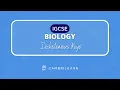 Dichotomous keys explained - IGSCE Biology
