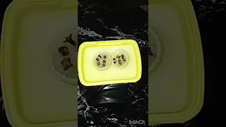 ازاي تخلي بيتك ريحته زي ريحه الفنادق  ازاي تخلي بيتك ريحته زي ريحه الفنادق