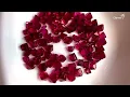 African Ruby vs Burmese Ruby Hidden Secrets You Need to Know