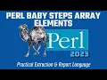 Perl Programming Baby Steps - Modifying ARRAY Elements 2023