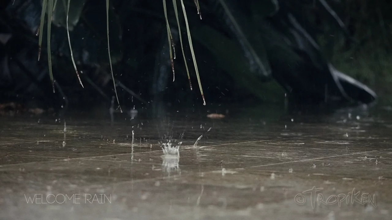 Welcome Rain