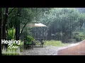 Download Lagu Zware regen in een park Genezende regengeluiden voor verlichting van slapeloosheid en oorsuizen