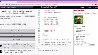 Learn Basic CSS Make Circular Images with a border radius freeCodeCamp org Google Chrome 2019 1