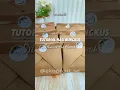 Download Lagu Tutorial Melipat Nasi Bungkus Cantik dan Menarik #lifehacks #tutorial