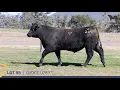 Lot 55 - CHOICE U269