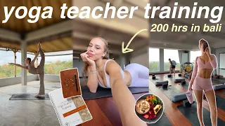 I WENT TO BALI ALONE FOR YOGA TEACHER TRAINING | PT 1: 200hr yoga teacher training vlog