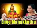 Lagu Enge Manakkuthu - Iyyappan song Instrumental by Veena Meerakrishna