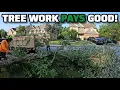 You Can Make A Lot Of Money Doing Tree Work The Best Jobs Are The Ones That Come With Nice Logs