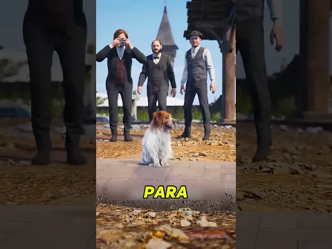 cachorro mais fiel do mundo