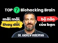 Download Lagu Khoa Học Tối Ưu Não Bộ: Cách Nhanh Nhất Để X10 Sự Tập Trung, Đảo Ngược Lão Hóa Não (Andrew Huberman)