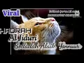 Download Lagu SHOLAWAT HADRAH AL JIDURI SHOLLALLAH ALAIK YA NUR  PP. AL QODIRI 1 JEMBER By. Azzain Sang perindu