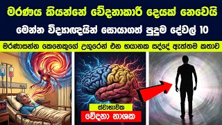 අවසන් මොහොත කියන්නේ වේදනාකාරී දෙයක් නෙවෙයි - මෙන්න විද්‍යාඥයින් සොයාගත් පුදුම හිතෙන දේවල් 10