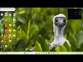 How to Install Python with NVDA for Visually Impaired First Python Code Tutorial By Nandan Singh