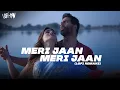 Meri Jaan Meri Jaan (Lofi Man Flip) | B Praak | Bachchhan Pandey | Akshay-Kriti | Bollywood Lofi