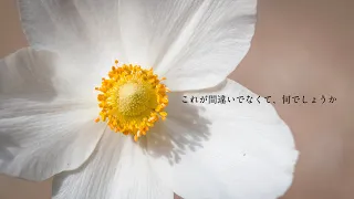 ヒューマンエラー　/ feat. 初音ミク