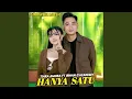 Download Lagu HANYA SATU (feat. Irwan D'Academy)