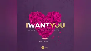 darque u0026 limpopo rhythm i want you feat tumelo 