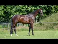 Download Lagu 3 YO Romijn (Spielberg X Andretti)