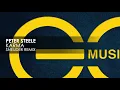 Download Lagu Peter Steele - Karma (Sneijder Remix)