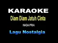 Lagu KARAOKE DIAM DIAM JATUH CINTA - Nada Pria - lagu nostalgia
