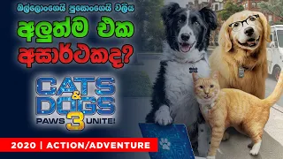 cats u0026 dogs 3 paws unite 2020 sinhala movie review