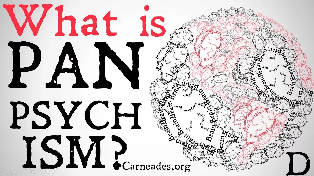 What is Panpsychism? (Philosophical Definitions)