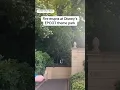 Fire erupts at Disney s EPCOT theme park