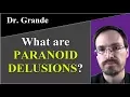 What are Paranoid Delusions Persecutory Delusions