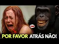 Download Lagu 111 milhões de anos atrás | A vida da bela do vestido de seda na chuva e o chimpanzé