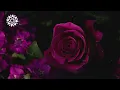 Shenseea - BOSS UP (Lyrics)