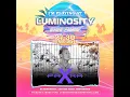 Download Lagu Para X [FULL SET] @ Luminosity Beach Festival 29-06-2019