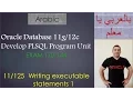 Oracle PLSQL Writing executable statements 1