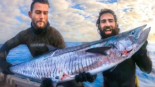 Spearfishing & Living on the Ocean | (Big Mackerel & Manta Rays!)