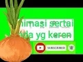 Download Lagu Animasi Tombol subscribe lonceng dengan suara keren buat intro YouTube.