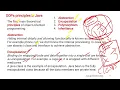 Q2a OOPS principles Model Question Paper 2023-24 Java Programming BCS306A