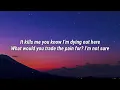 Fall Out Boy - Love From The Other Side (Lyrics)