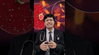 What is Pyelonephritis Understanding Kidney Infections and Their Causes