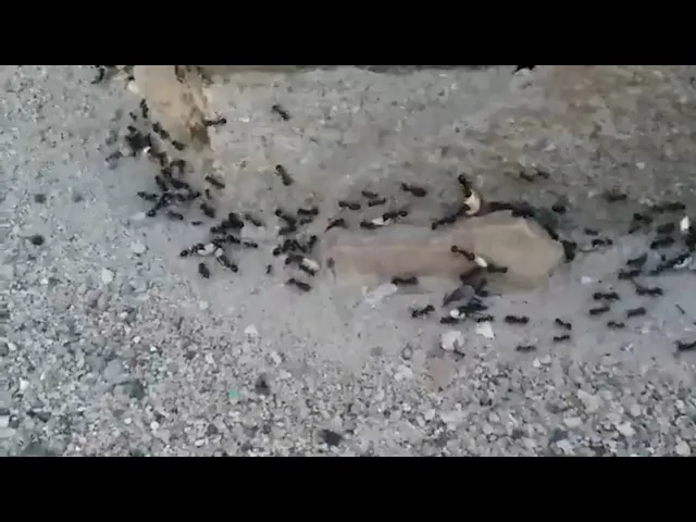 نظم أمورك قبل أن يكون هذا مصيرك | د.احمد الوائلي