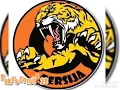 Download Lagu Persija Jakarta - Dari Waktu Ke Waktu With Lyric (Young Tiger)
