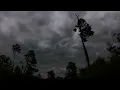 Florida weather Ocala