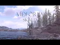Download Lagu SKÁLD | Víðförla (Lyrics \u0026 Translation)