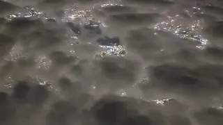 سورة نوح  للقارئ الشيخ بدر التركي               دندنها